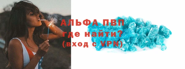 прущие грибы Лабытнанги