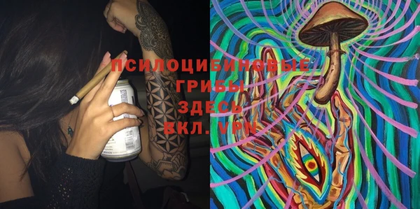 круглые Лагань