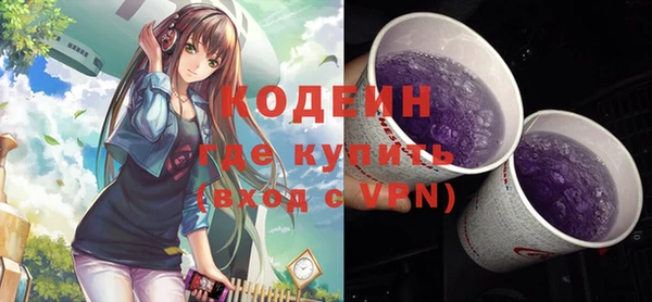 прущие грибы Лабытнанги