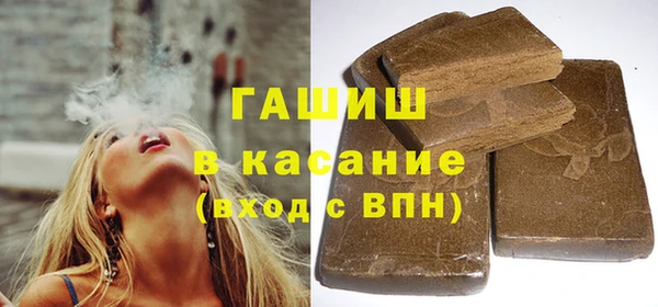 прущие грибы Лабытнанги