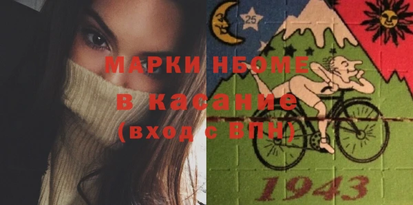 прущие грибы Лабытнанги